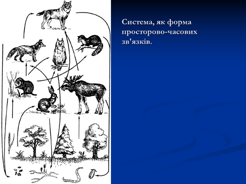 Система, як форма      просторово-часових    зв'язків.